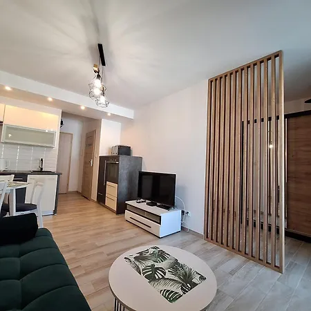 Apartament Luizy Ulanska 아파트 *